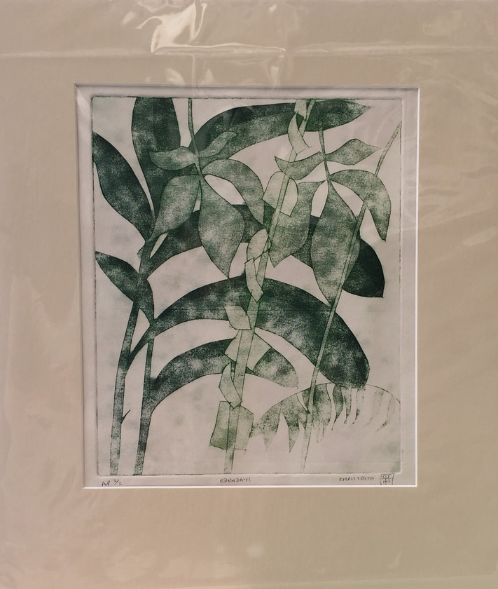 Eden Days AP 
 Etching on paper 1/2. Unframed 41x38 cms. Stock no. 333/2017/08. Price 195 
 Keywords: Etching, Contemporary, Cornwall, Art, Print, Expressive, Eden, Tropical, Plants