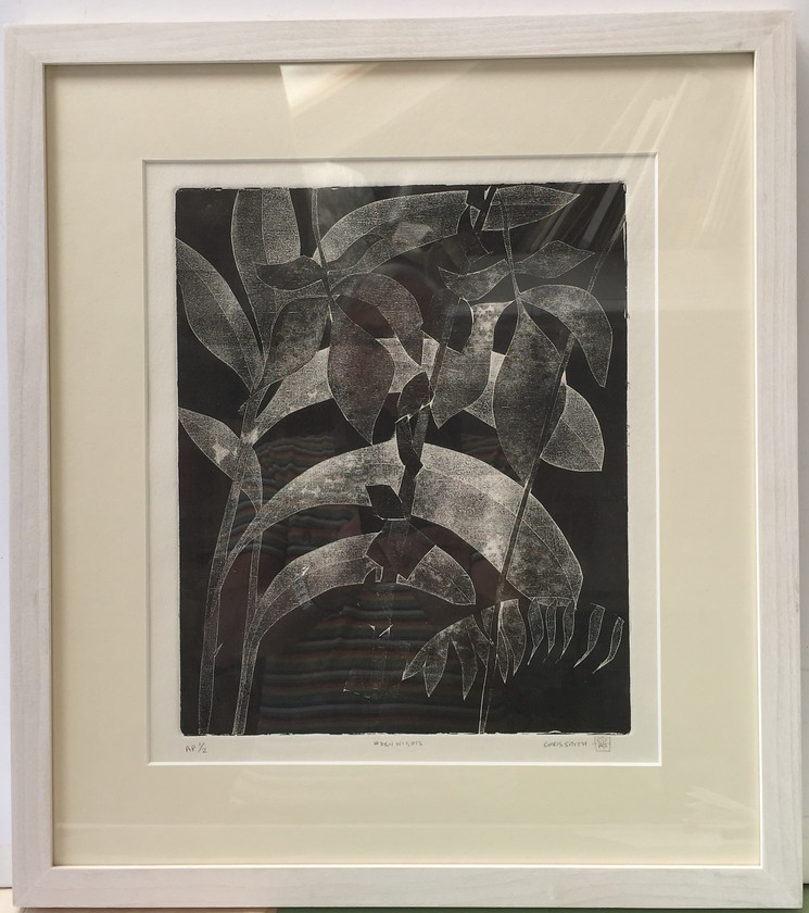 Eden Nights 
 Etching on paper 1/2. Framed 47.5x42. Stock No. 332/2017/08. Price 275. 
 Keywords: Etching, Contemporary, Cornwall, Art, Print, Expressive, Eden, Tropical, Plants